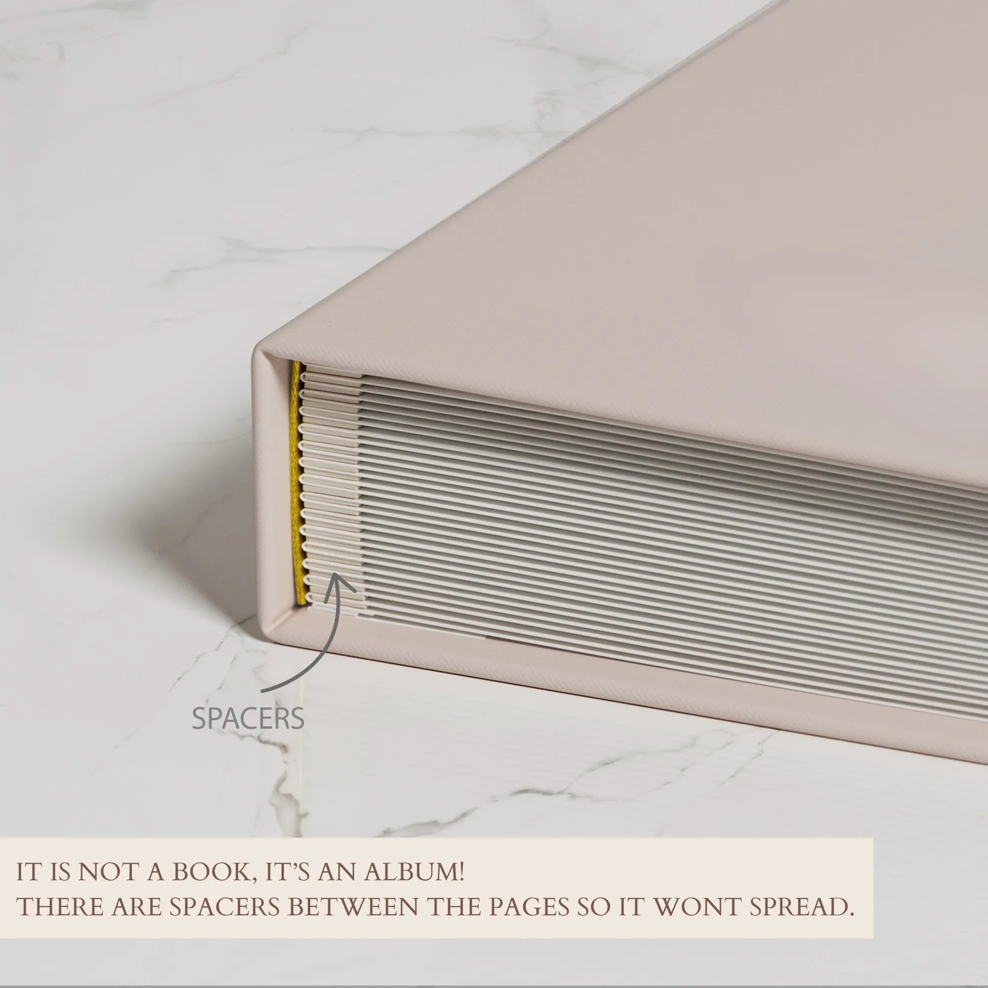 Black Pages   Black Cover   Real Gold | Guest Book